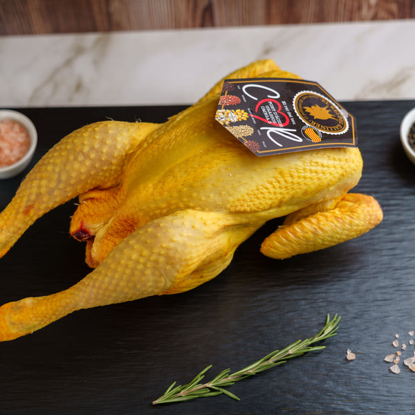 Pollo del Rei de Galliner