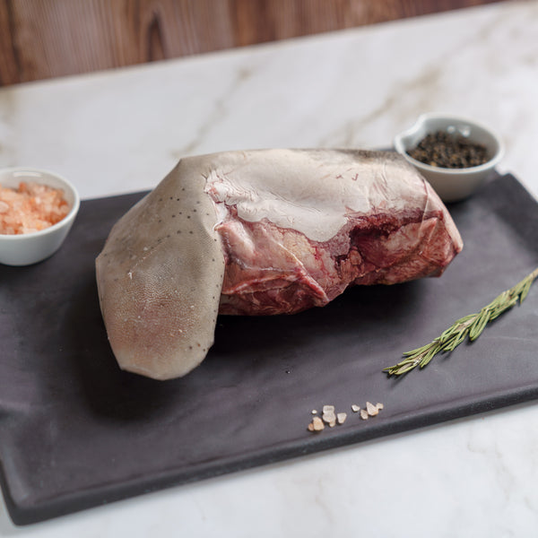 Lengua